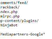 Robots.txt para WordPress Google