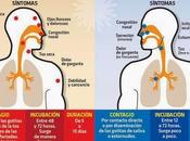 Gripe Resfriado#salud#enfermedad#infografía