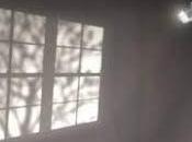 Sombras pared