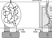 Robot flexible tipo tentáculo como computador analógico