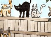 Animales humor