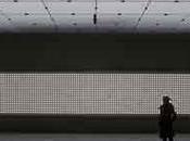 Carsten Höller: Decision