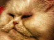 Estamos Agustito XCVII. Solo puede haber uno... #funny