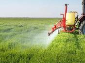 estudio vincula exposición pesticidas comunes TDAH ADHD), niños