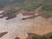 Venezuela: Degradación, cambio climático debilidad institucional amenazan cuencas hidrográficas