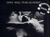 division -Love will tear apart single 1981