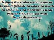 ¿Qué para vida?