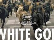 Crítica: "White God"