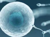 ¿Donantes esperma conocido banco semen? Opciones para gente está considerando donación padres