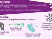 Epilepsia#salud#enfermedad#infografía.