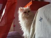 Androidografia Barakaldo CDLXXXVIII. Ninja #fotografia