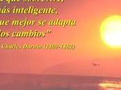 flexibilidad mental