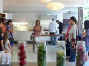 Cocina creativa ingredientes Olivolea