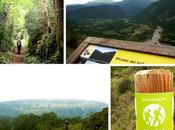 Camino Solano. Castejón (Huesca)