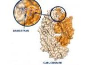 Idarucizumab para revertir Dabigatrán.