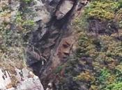 Encuentran cara misteriosa tallada remota isla canadiense