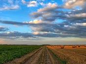 ¿Cómo sabe suelo propicio para agricultura?