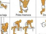 Musculación para novatos