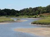 Ruta Moultry Creek Picolata Spuds Saint Augustine Shores
