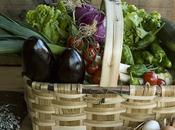 Ruralsaski cestas hortalizas ecológicas
