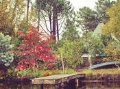 McEnroe: Para buscan