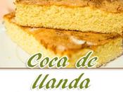 Coca llanda