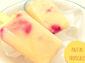 Paletas frutas hechas casa