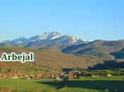 Arbejal