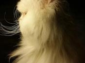 Estamos Agustito CIII. Pensador... #funny