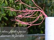 ideas faciles para decorar jardin