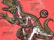 Jurassic Anatomy