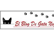 Blog gata negra Recomendado Ideas Pensamientos semana