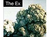 puedo dejar escuchar... "Maybe Pilot"