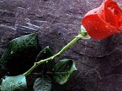 "CUATRO CERVEZAS ROSA" Javier Serrano Sánchez