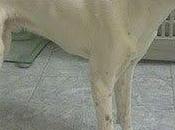 pesar todo VIVE vivirá feliz familia, tenemos conseguir