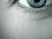 GREY, James sale venta España