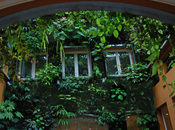Vivir Jardín vertical casa