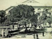 Fotos antiguas: frondosa Plaza Ópera