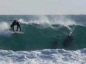 Televisión capta vivo Surfista luchando vida contra tiburón