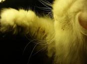 Estamos Agustito CIV. Cazador... #funny