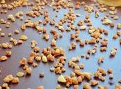 Tarta vegana tres chocolates