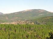 camino Vereda…