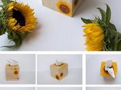 Caixa gira-sols/ Caja girasoles