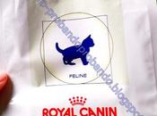 ROYAL CANIN WEANING primer pienso gatito