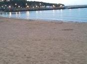 Hallazgos playas