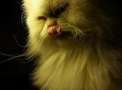 Estamos Agustito Limpio... #funny