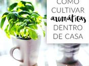 Cómo cultivar hierbas aromáticas dentro casa