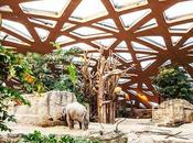 Casa para Elefantes Zúrich, Markus Schietsch