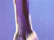 Mini-reseña: Nada decir, Bernard Friot