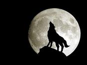 Luna llena